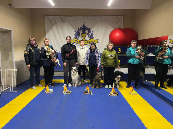 категория ПОМЕЩЕНИЕ