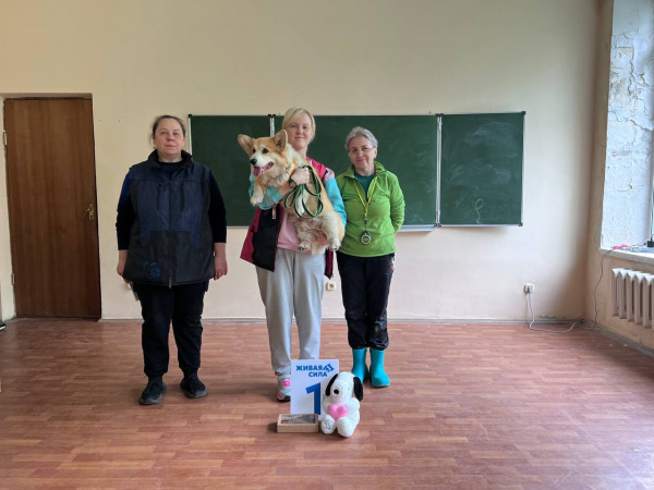 Победитель категории ТРАНСПОРТ