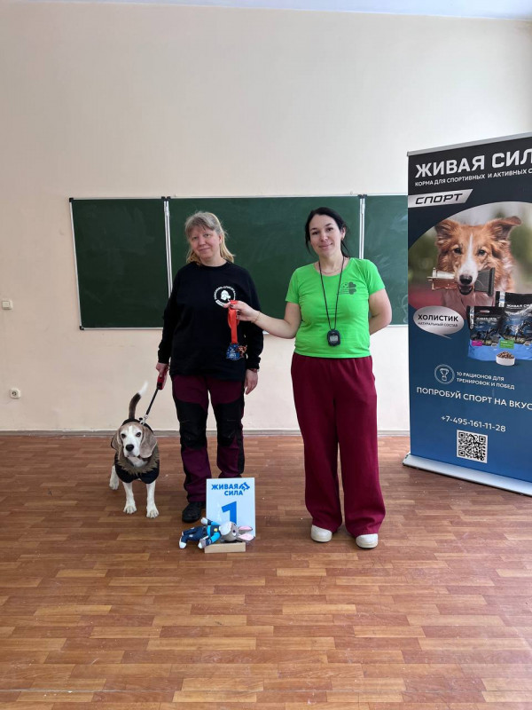 Победитель категории Транспорт