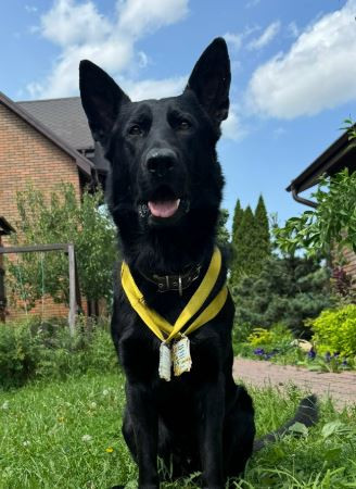 ПсковЛанд Чезаре