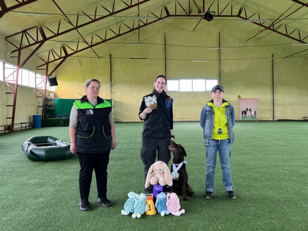 Мастер NOSEWORK победитель категорий помещение, предметы, местность, транспорт