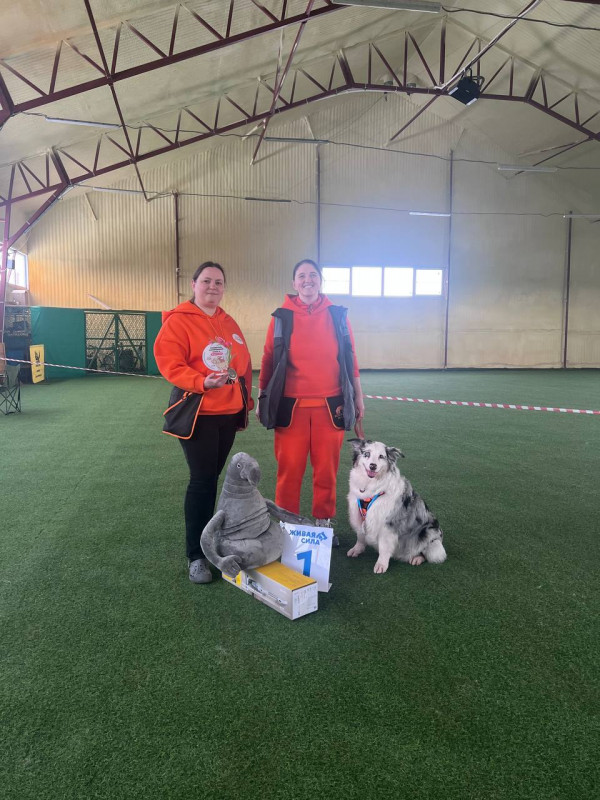 Победитель кубковых соревнований КЛУБА БЕЛАРУСЬ