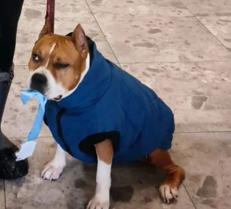 Euphoria of Winner Sozvezdie Staff