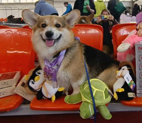 Мистикор Цитрон Нуар