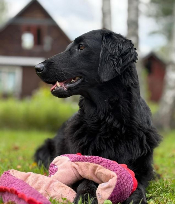 РЕТЛАЙН РИМЕЙК