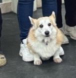 Rosso Ambra Vivere per La Vittoria