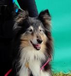 Марвитхолл Юрата