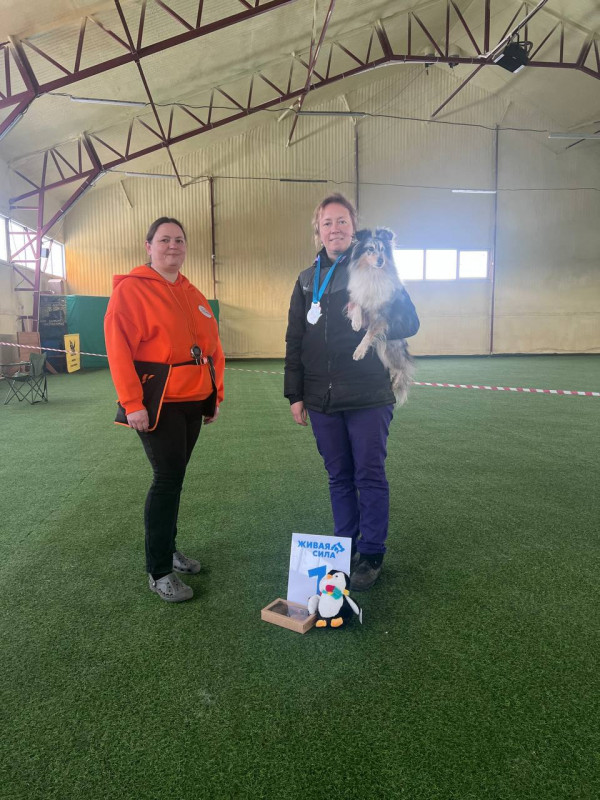 Победитель категория ПРЕДМЕТЫ