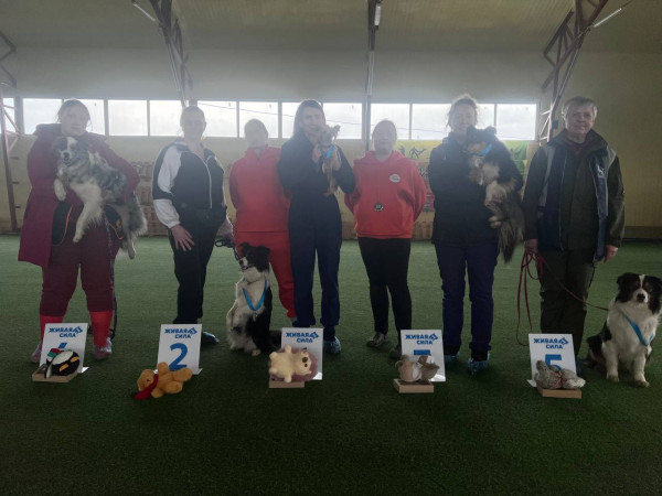 Категория ТРАНСПОРТ