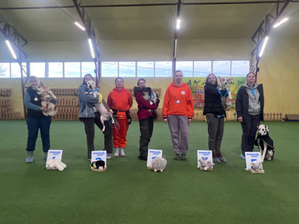 Категория ПОМЕЩЕНИЕ