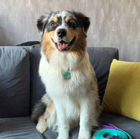 Асти Митрель Захар Радиславовис