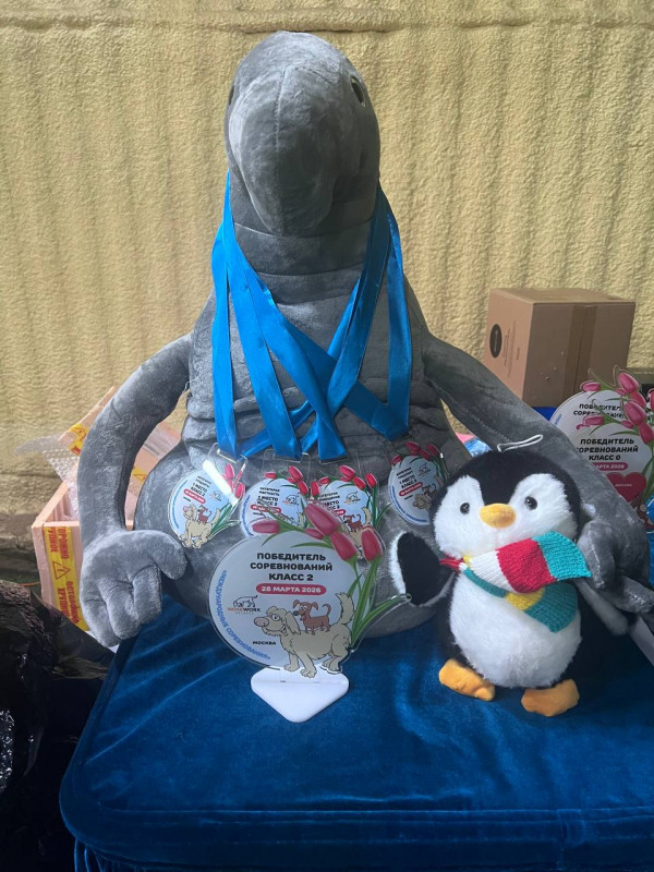 Награждение