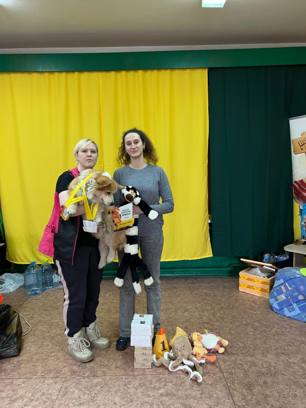 Победитель Категорий и Мастер Ноузворк 3 класс 29 марта 2025г.