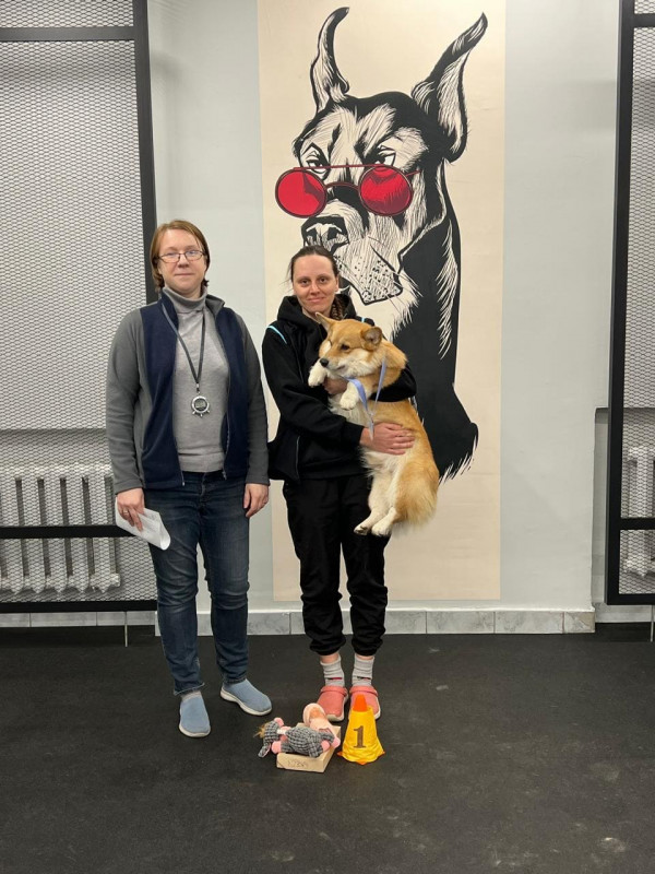 Победитель категории 2