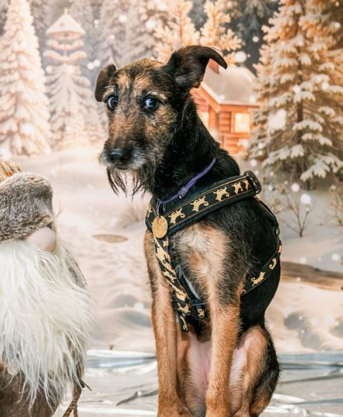 КОКО ШАНЕЛЬ