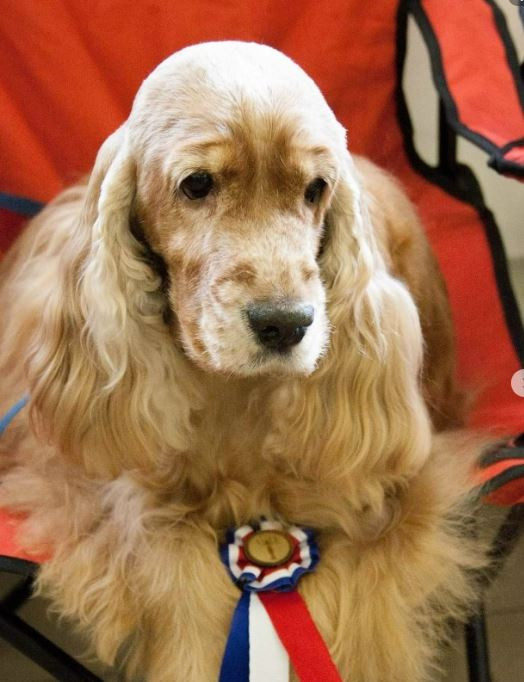 Rus Irenes Safe and Sound