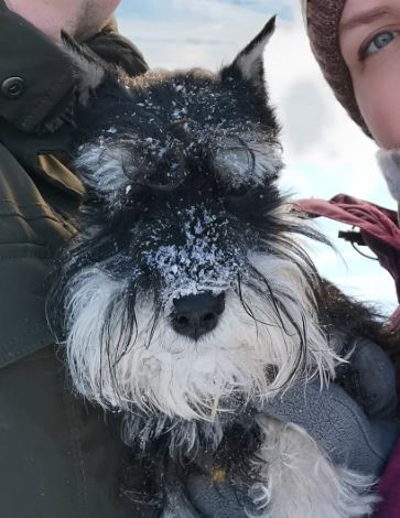 Альтезза Максима Роллинг Стоунз