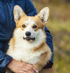 Хайлайт'с Ясухиро