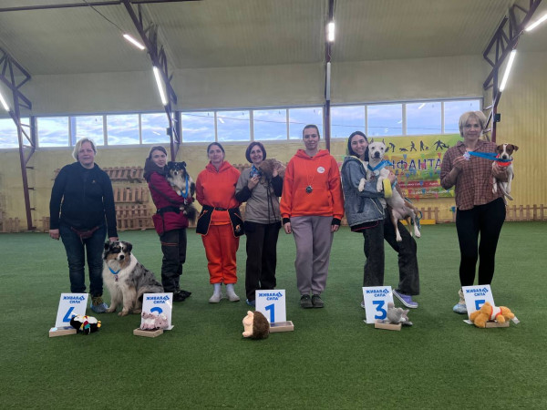 Категория ТРАНСПОРТ