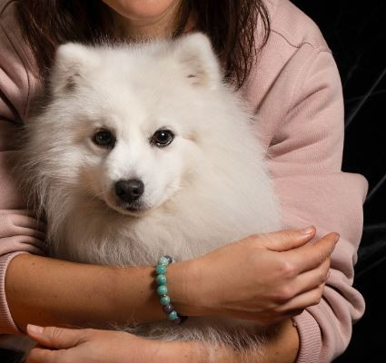 UNIVERS FANTAZM MARCEL