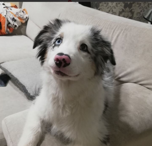 Triplemoon Quick Dance Before U Go