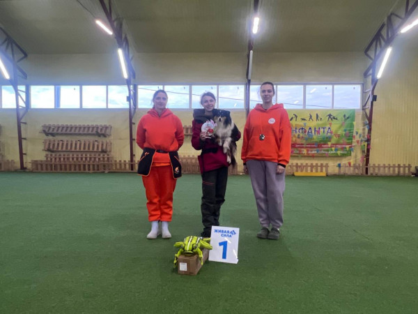 Победитель Соревнований