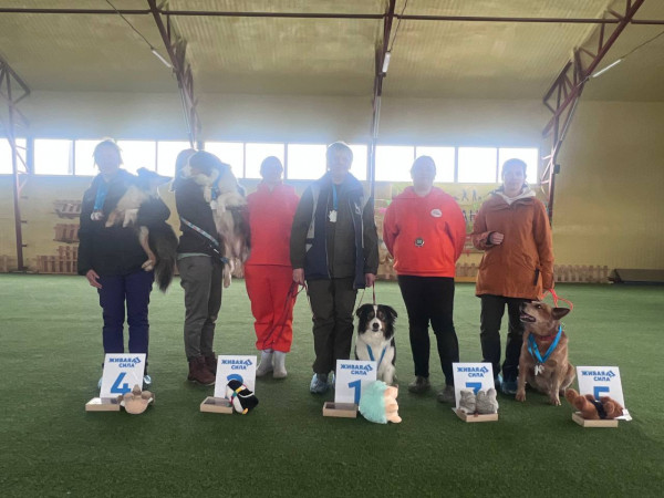 Категория ПОМЕЩЕНИЕ