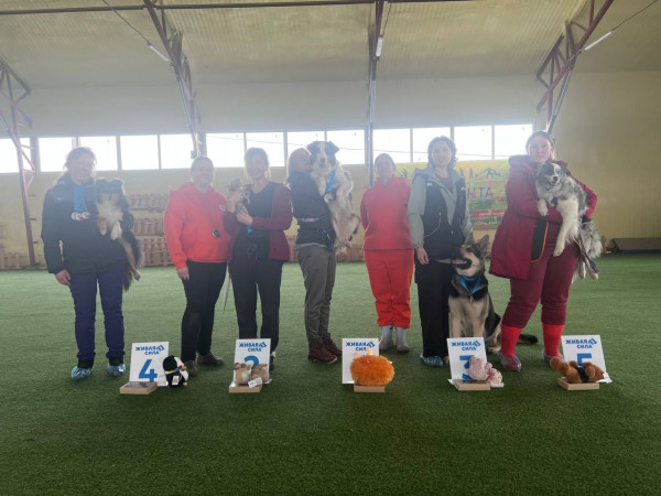 Категория МЕСТНОСТЬ