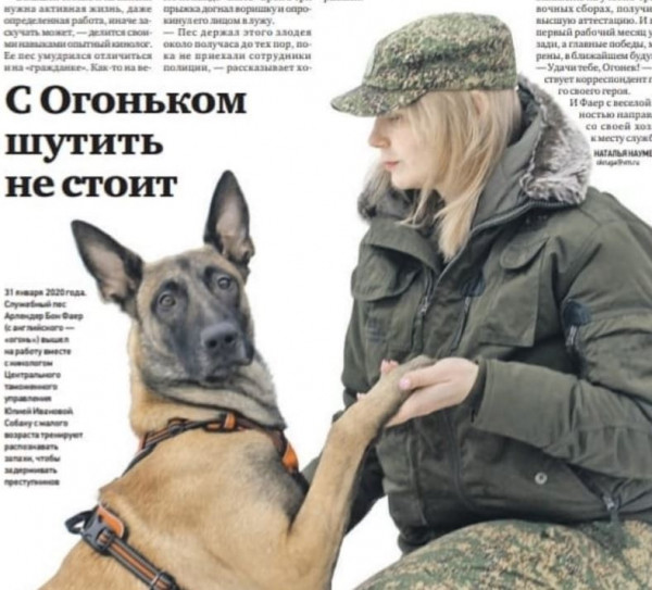 Арвенделл Бонфайр