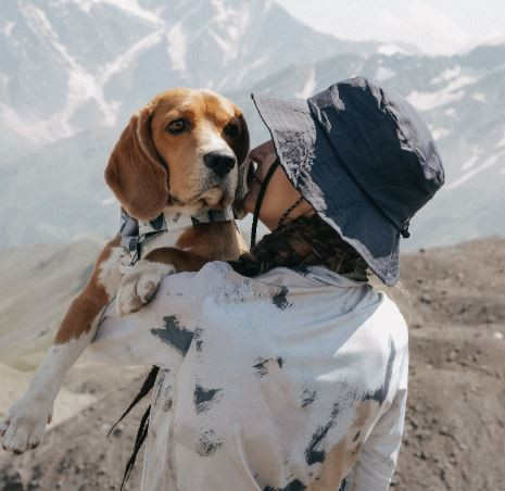 Дивайн Чойс Зум Зум