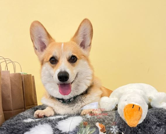 Альфред Ди Мин Незабываемый Восторг