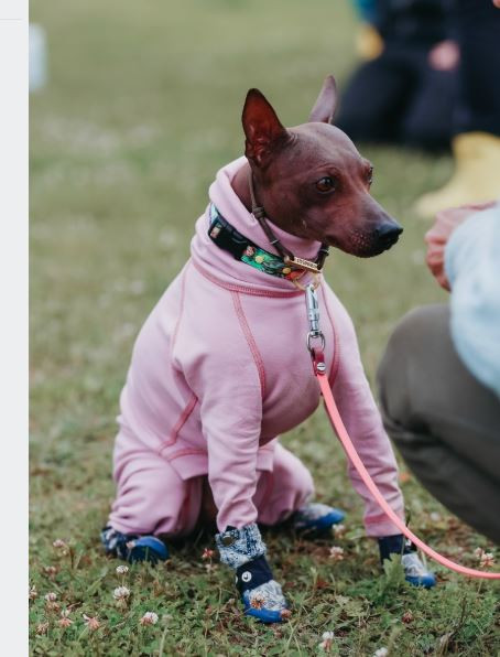 Костан-деи-Рина Хааг Сабина