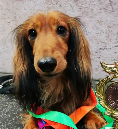 Жемчуг Белогорья Янтарный Мед