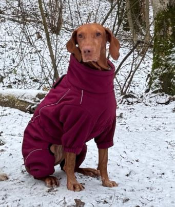 Тина Трейдинг Ярославна II