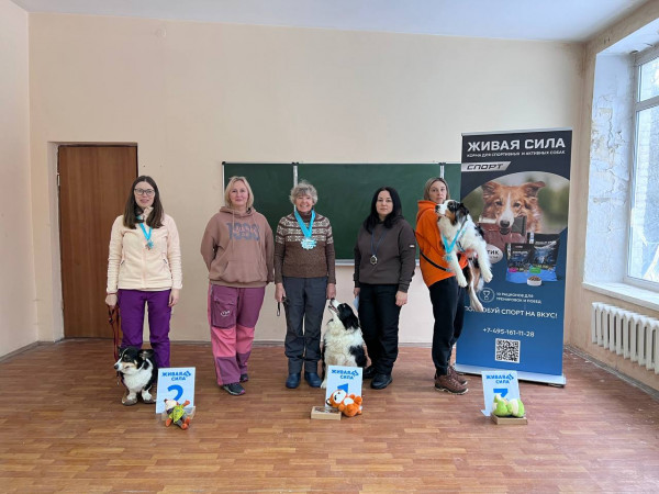 Категория Местность