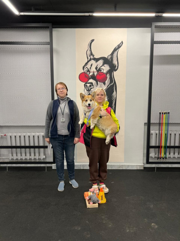 Победитель категории 1