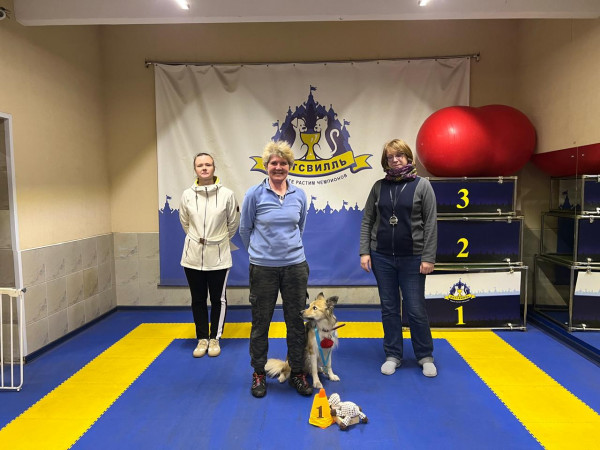 Победитель категории ПОМЕЩЕНИЕ