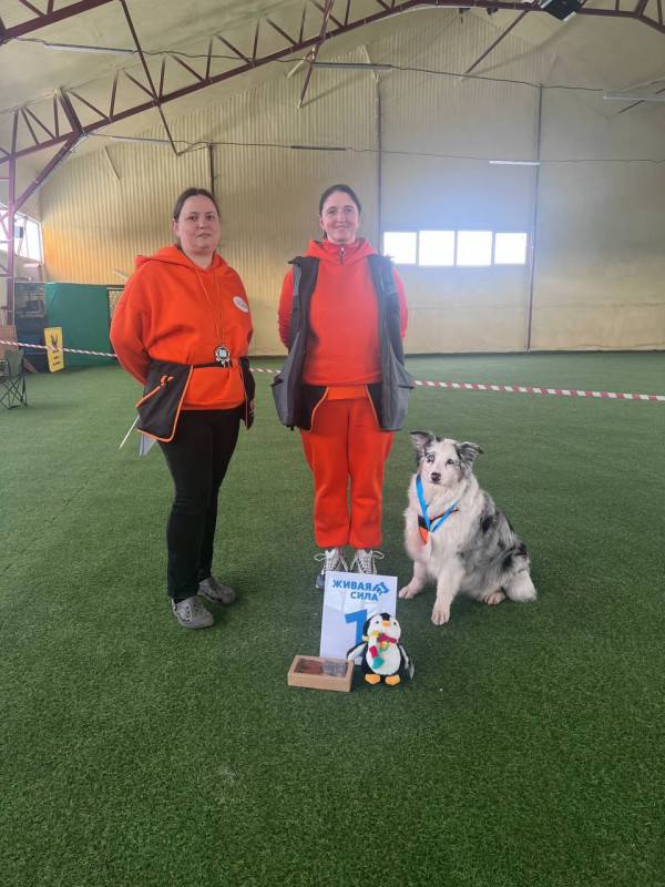 Победитель категория ТРАНСПОРТ