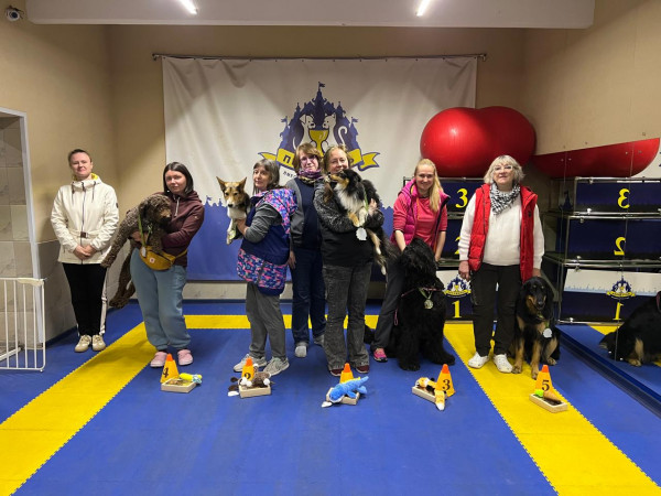 Категория ПРЕДМЕТЫ