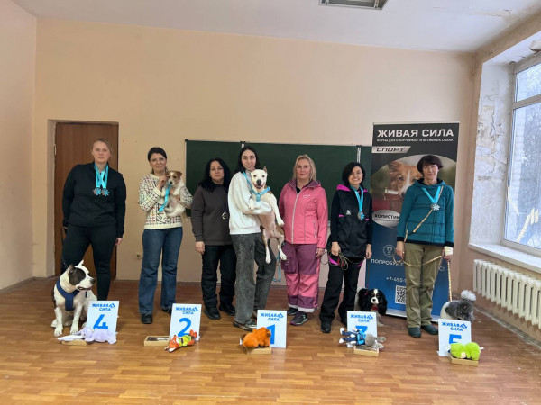 Победители категории Предметы