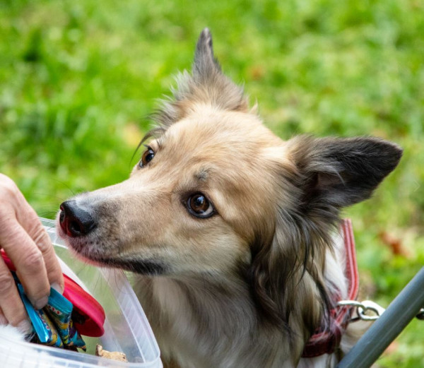 Brains'n Beauty Ilse