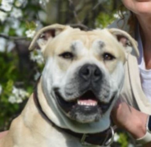 ЭЛ КОРАЗОН ДЕЛЬ МАР ВЕНИ ВЕДИ ВИЧИ