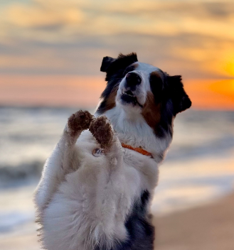 Seventy Seven Away Galaxy