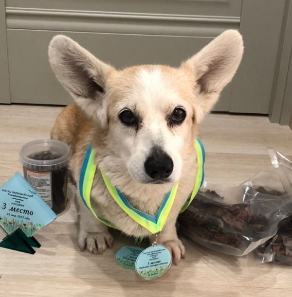 Альфавиш Кэролл Лиделл