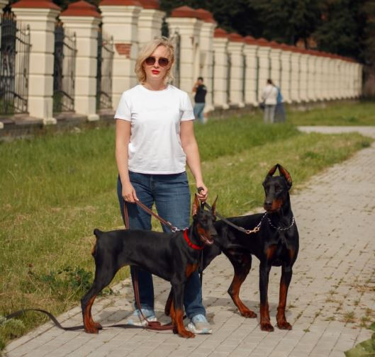 Соколова Марина