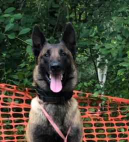 Акс фром Феарес Валлей