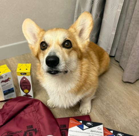 Фрай Винд Дольче Вита