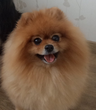 Никсэнд Гермиона Меджик Гел