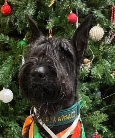 Ануксамун Валентайн Ма Баркер