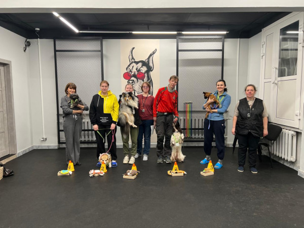 Категория ПОМЕЩЕНИЕ